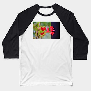 Dragon Wing Begonia Baseball T-Shirt